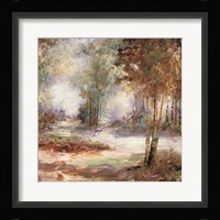 Light In Balance I Framed Print