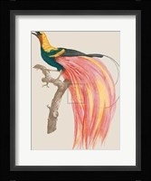 Le Petit Paradis Emeraude Fine Art Print