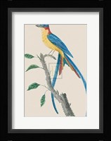 Le Tyian Savana Fine Art Print