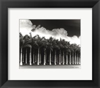 White Palms, Costa Rica Fine Art Print