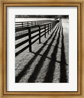 Fences And Shadows, Florida Fine Art Print