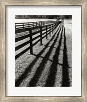 Fences And Shadows, Florida Fine Art Print