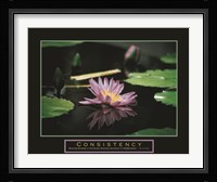 Consistency - Pond Flower Fine Art Print