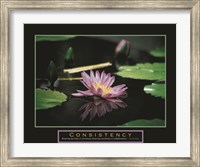 Consistency - Pond Flower Fine Art Print