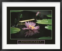 Consistency - Pond Flower Fine Art Print