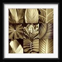 Tropical Leaves II Fine Art Print