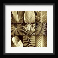Tropical Leaves II Fine Art Print