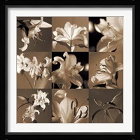 Lily Garden Fine Art Print