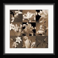 Lily Garden Fine Art Print