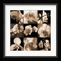 Orchid Bouquet Fine Art Print