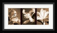 Lily Trio Fine Art Print