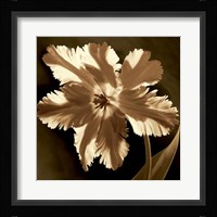 Parrot Tulip I Fine Art Print