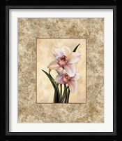 Perfection II Fine Art Print