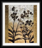 Orchid Silhouette Fine Art Print