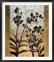 Orchid Silhouette Fine Art Print