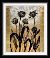Tulip Silhouette Fine Art Print