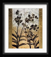 Orchid Silhouette Fine Art Print