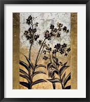 Orchid Silhouette Fine Art Print