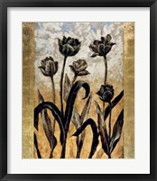 Tulip Silhouette Fine Art Print