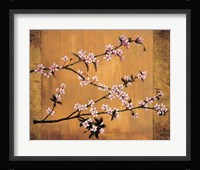 Cherry Blossoms Fine Art Print