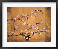 Cherry Blossoms Fine Art Print