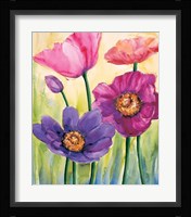 Anemoni In Rosa Fine Art Print