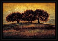 Rising I Fine Art Print