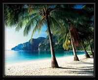 Tonsai Beach, Phi Phi Islands, Thailand Fine Art Print
