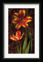 Decorative Tulips II Fine Art Print