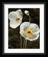 Poppies I Fine Art Print