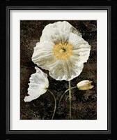 Poppies II Fine Art Print