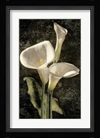 Callas I Fine Art Print