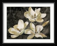 Magnolia Tree Fine Art Print