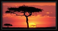 Masai Mara Plains, Kenya Fine Art Print