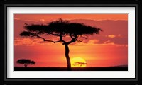 Masai Mara Plains, Kenya Fine Art Print