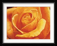 Gaiezza Fine Art Print