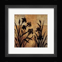 Iris Silhouette I Fine Art Print