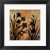 Iris Silhouette I Fine Art Print