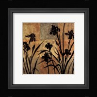 Iris Silhouette II Fine Art Print