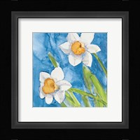 Narcisi Fine Art Print