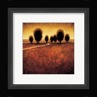 Illumination Fine Art Print