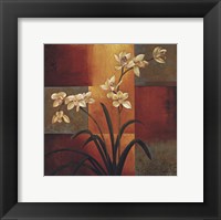 White Orchid Framed Print