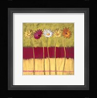 Pink Ladies Framed Print