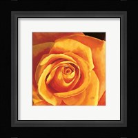 Armonia E Dolcezza Fine Art Print