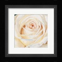 Eleganza Fine Art Print