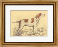 Hunting Dogs-Griffon Fine Art Print