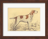 Hunting Dogs-Griffon Fine Art Print
