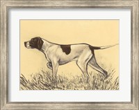 Hunting Dogs-Pointer Fine Art Print