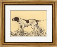 Hunting Dogs-Pointer Fine Art Print