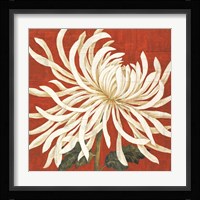 Spider Mum I Fine Art Print